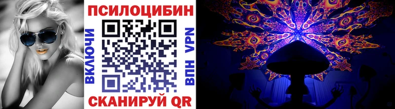 Псилоцибиновые грибы мицелий Чайковский